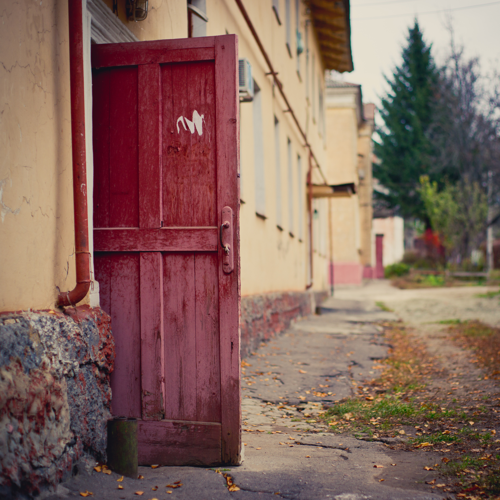 Open-Door_dreamstime_m_33607648